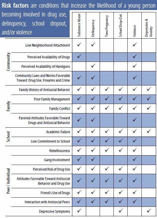 A chart of risk factors for addiction, including poor family management and depressive symptoms.