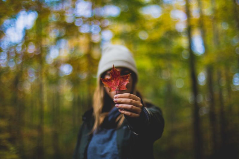 Against a slightly blurry background of green forest, a female figure in warm coat and hat holds a red leaf up in fron of their face.