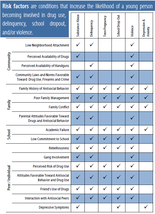 A chart of the risk factors for addiction, mental illness, violence, and other issues.